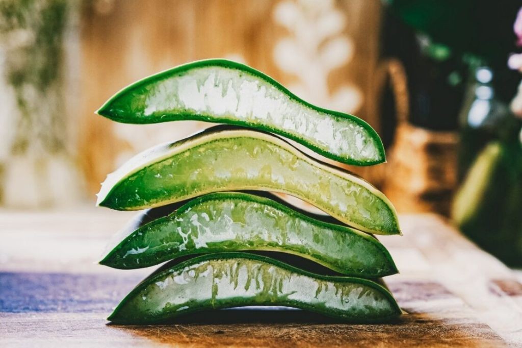 Aloe Vera and Cucumber Digestive Elixir
