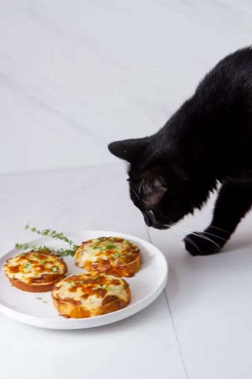 Black Cat Bruschetta