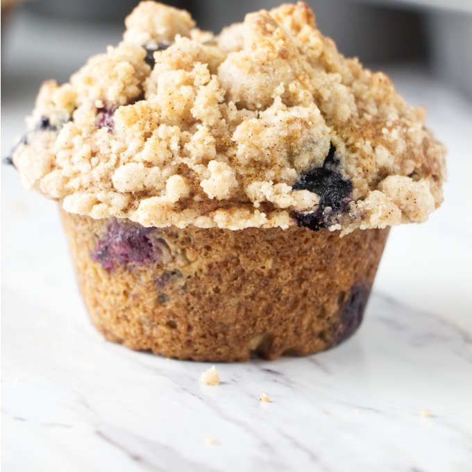 Blueberry Devotion Protein Muffins