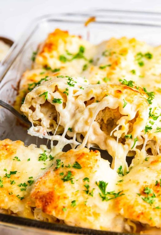 Chicken and Cheese Lasagna Rolls