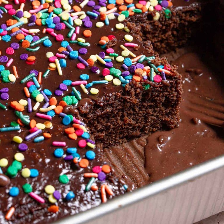 Chocolate Sheet Cake with Rainbow Sprinkles