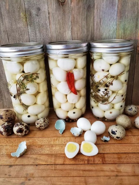 Citrus Zest Pickled Quail Eggs