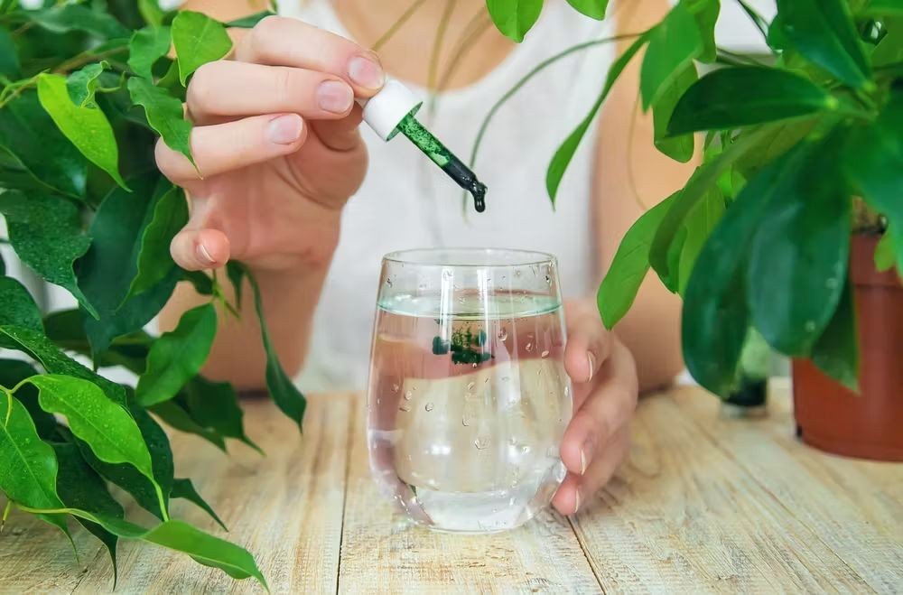 Coconut Water Chlorophyll Detox Drink