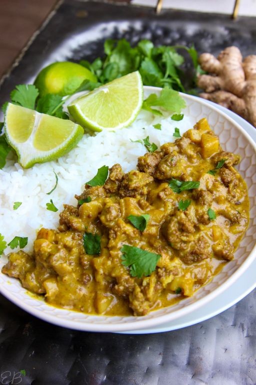 Curry and Turmeric Hamburger Mix