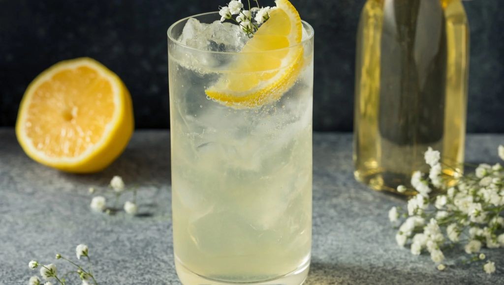 Elderflower Gin Fizz with Cucumber