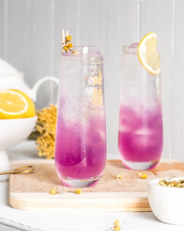 20 Refreshing Empress Gin Recipes for Cocktail Lovers