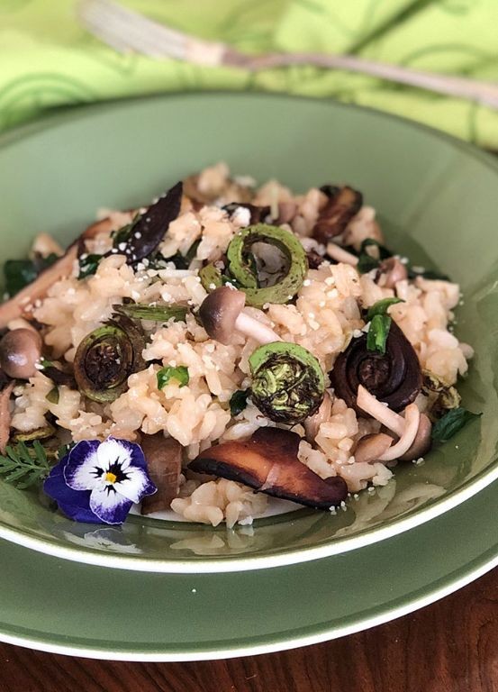 Fiddlehead and Mushroom Risotto
