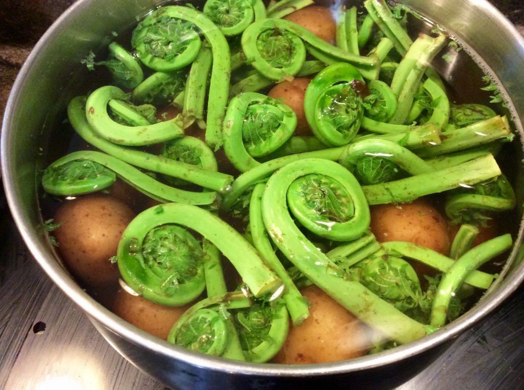 Fiddlehead and Potato Hash