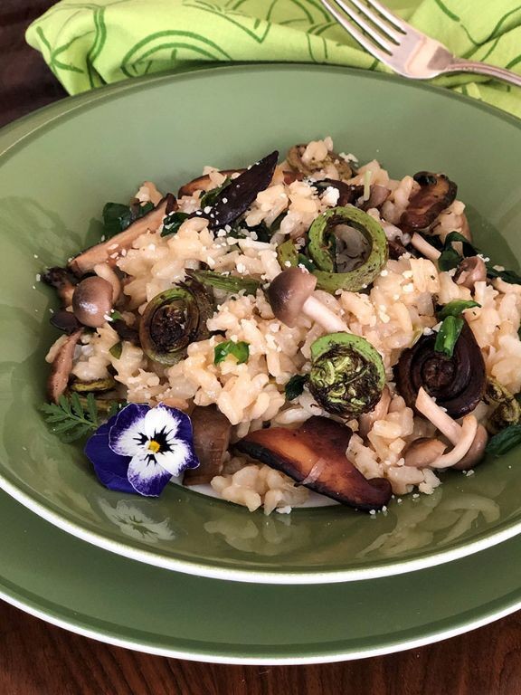 Fiddlehead and Wild Rice Pilaf