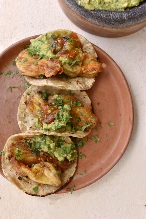 18 Crispy Fried Squash Blossoms Delicious Recipes