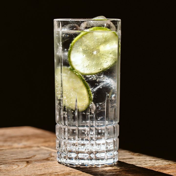 Gin and Tonic Highball