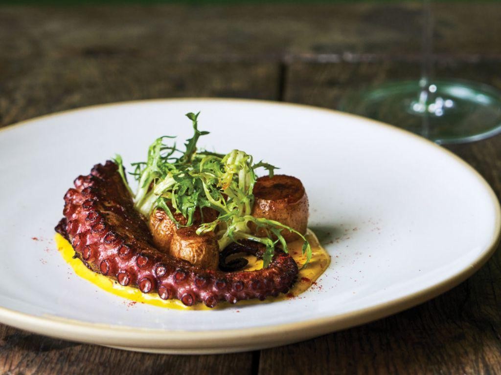 Grilled Octopus with Saffron Aioli