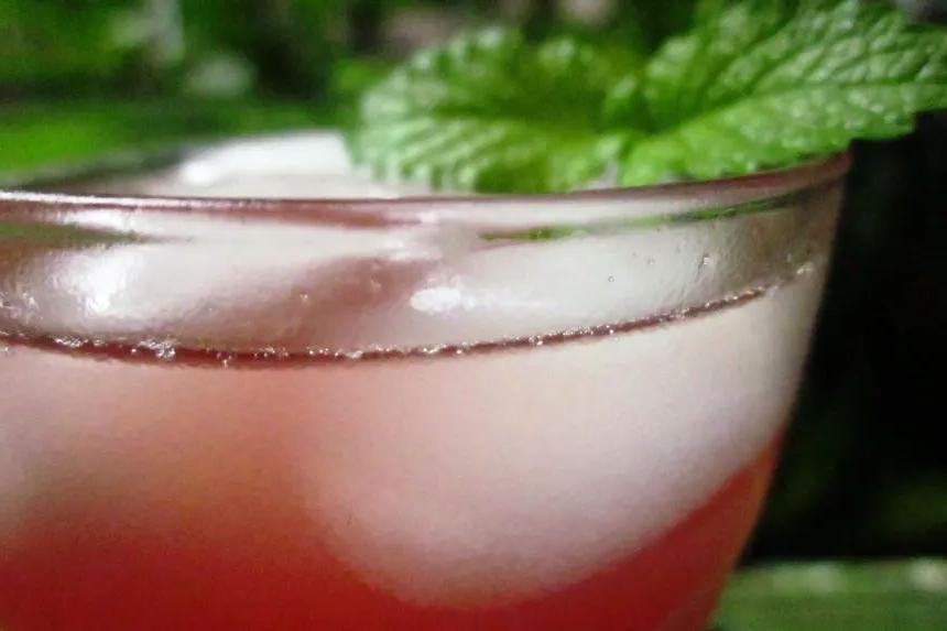 Herbal Bay Breeze with Fresh Mint