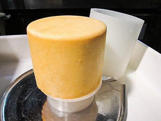 Homemade Colby Cheese
