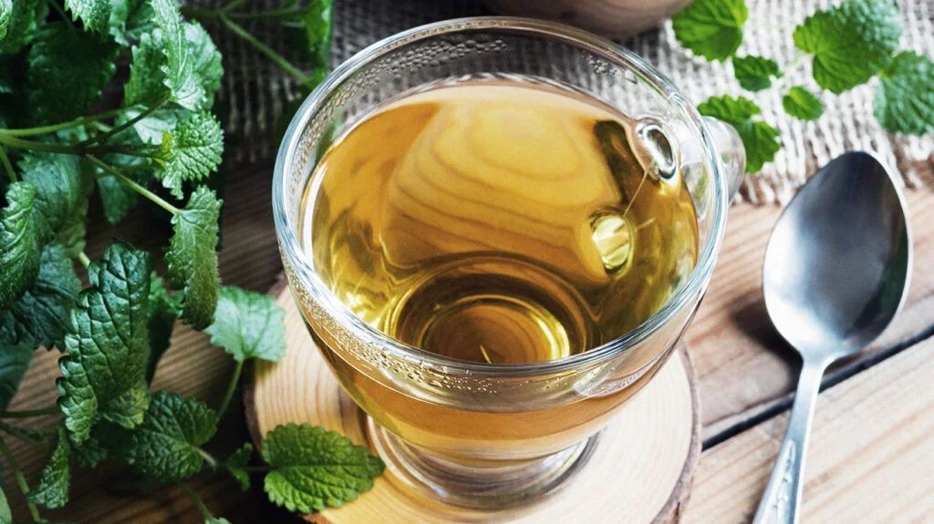 Lemon Balm Tea