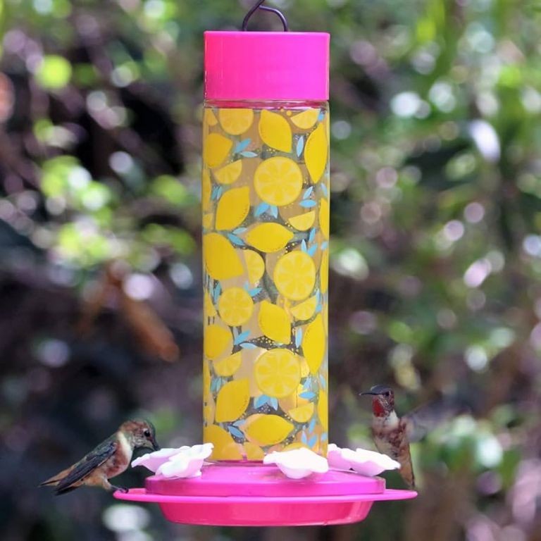 Lemon Zest Hummingbird Nectar