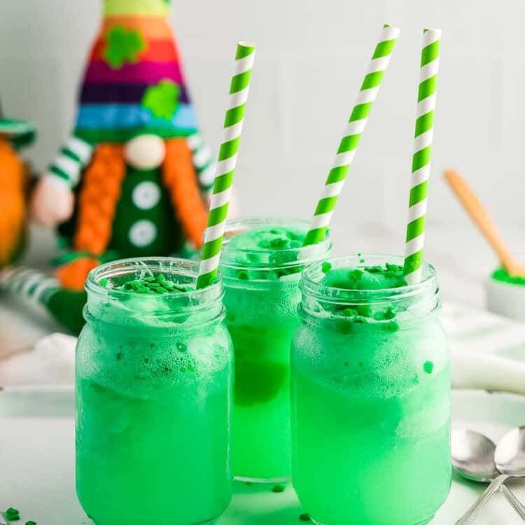 Leprechaun’s Delight Irish Trash Can