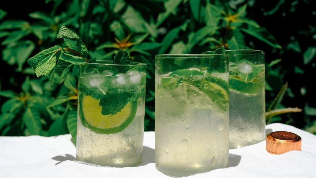 Lime Vodka Spritzer with Mint