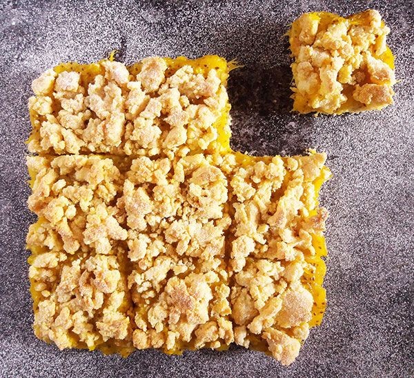 Mango and Chia Seed Bars