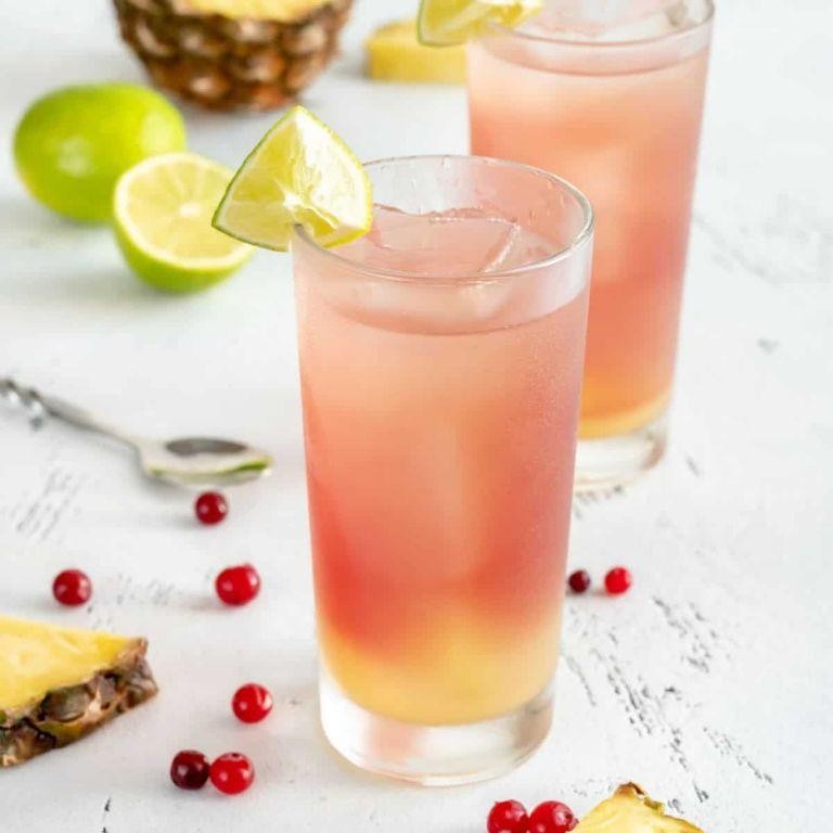 18 Refreshing Bay Breeze Cocktail Tasty Recipes