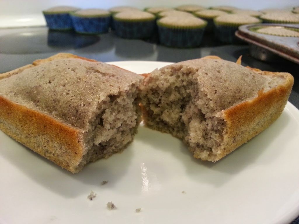 Navajo Juniper Ash Bread