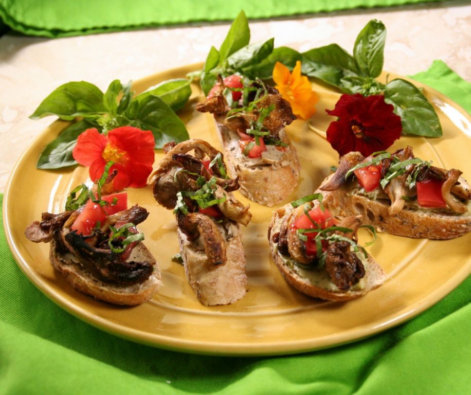 18 Savory Oyster Mushroom Recipes for Every Occasion