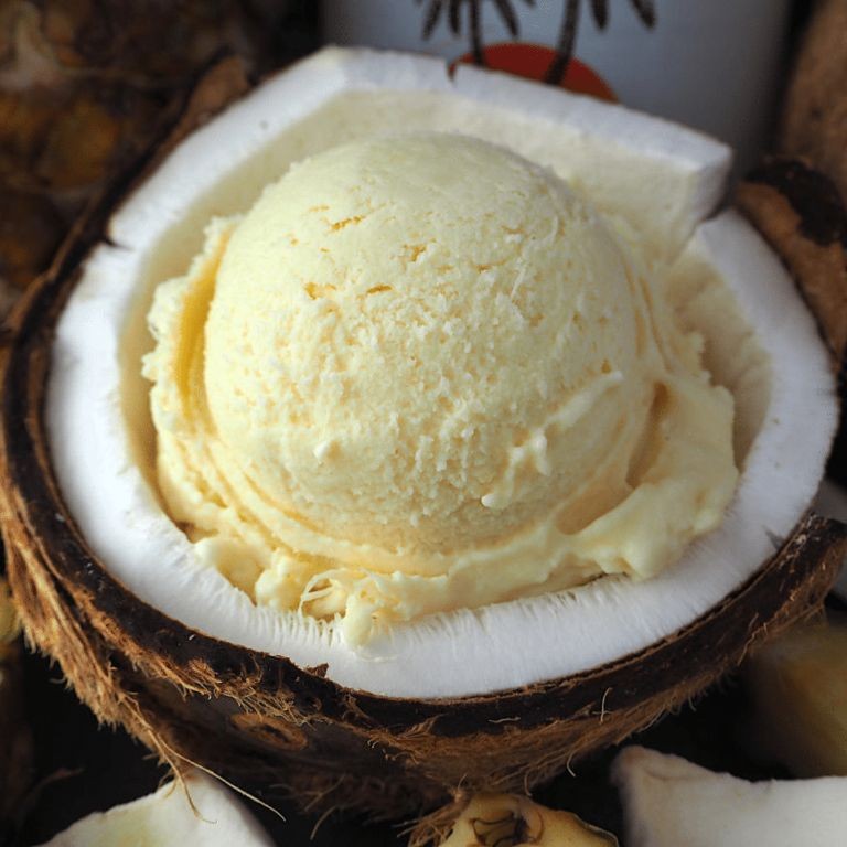 20 Creamy Coconut Ice Cream Recipes with Tropical Flavors