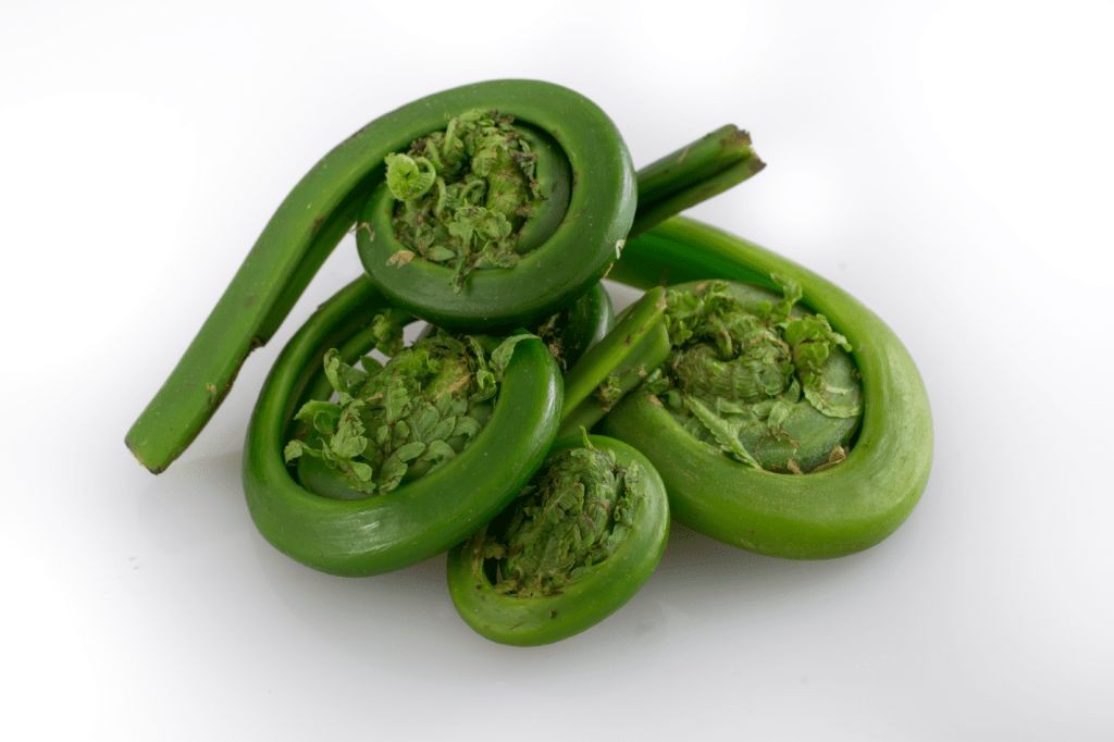 Pickled Fiddleheads with Spices
