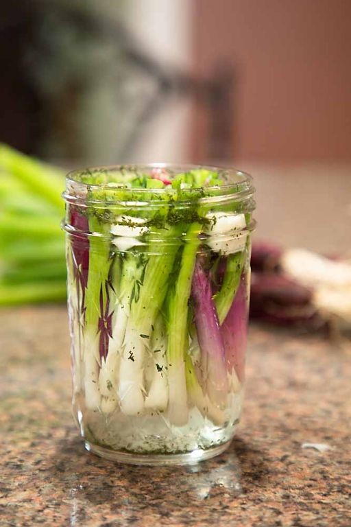 Quick-Pickled Spring Onions for Sandwiches