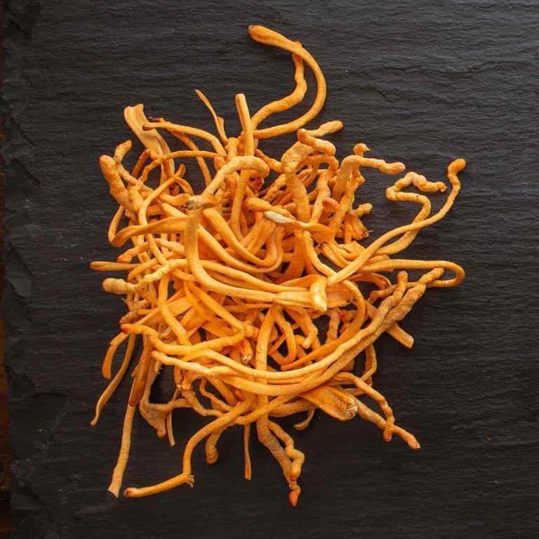 Roasted Cordyceps with Honey Glaze