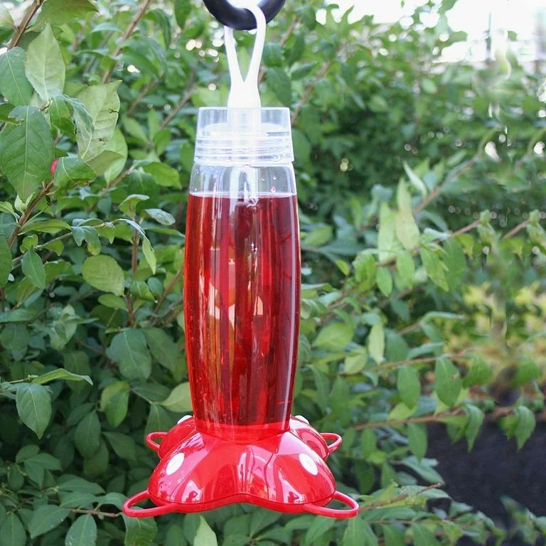 Rose Petal Hummingbird Nectar