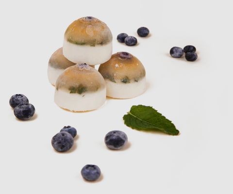 Salmon Parsley Woof Pupsicles