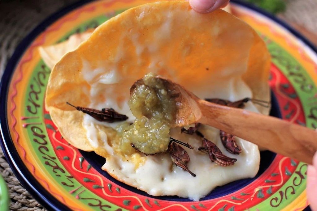 Spicy Chapulines (Grasshoppers) Quesadillas