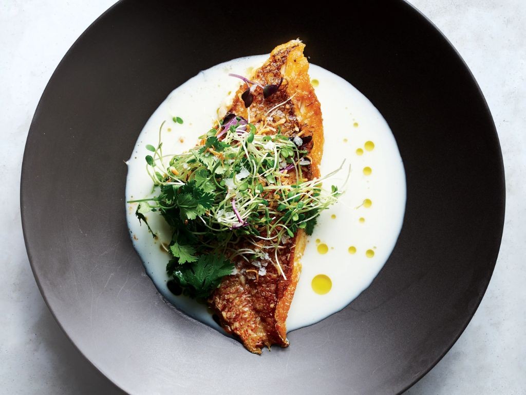 19 Crispy Red Snapper Fillet with Skin Delicious Recipes