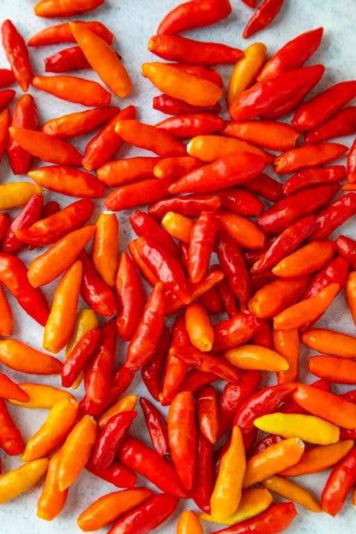 Spicy Tabasco Pepper Chili