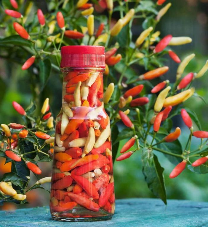 Spicy Tabasco Pepper Hot Sauce