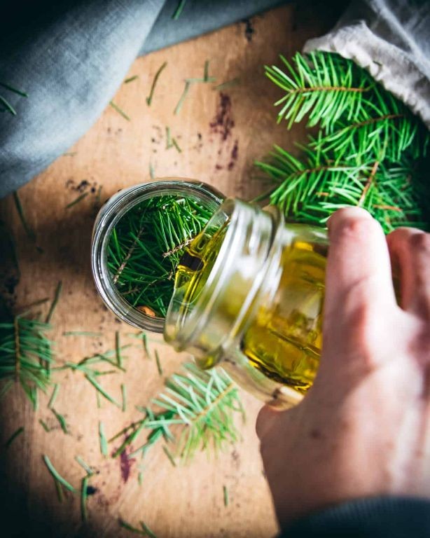Spruce Tip Infused Olive Oil