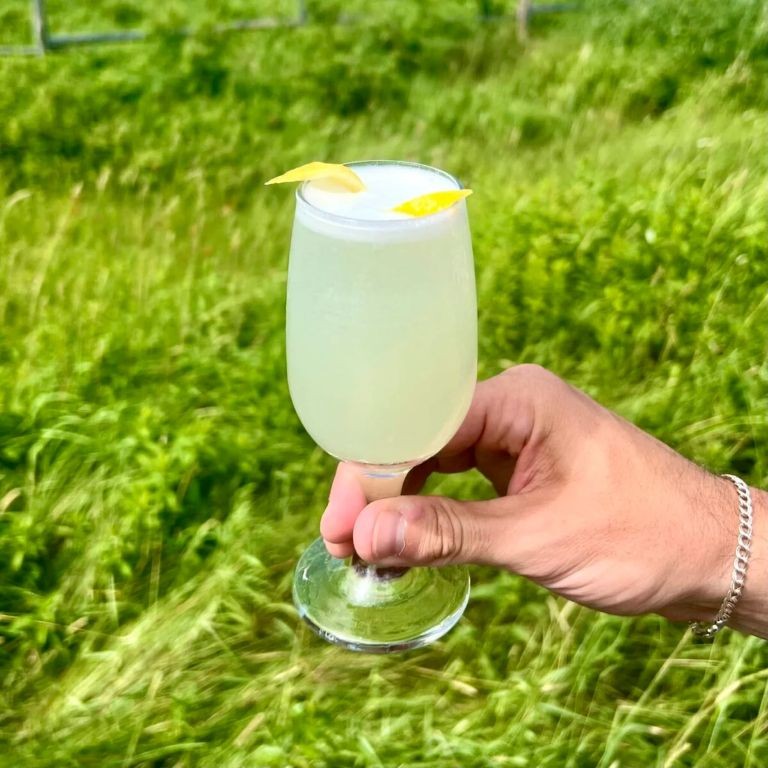 Spruce Tip Lemonade