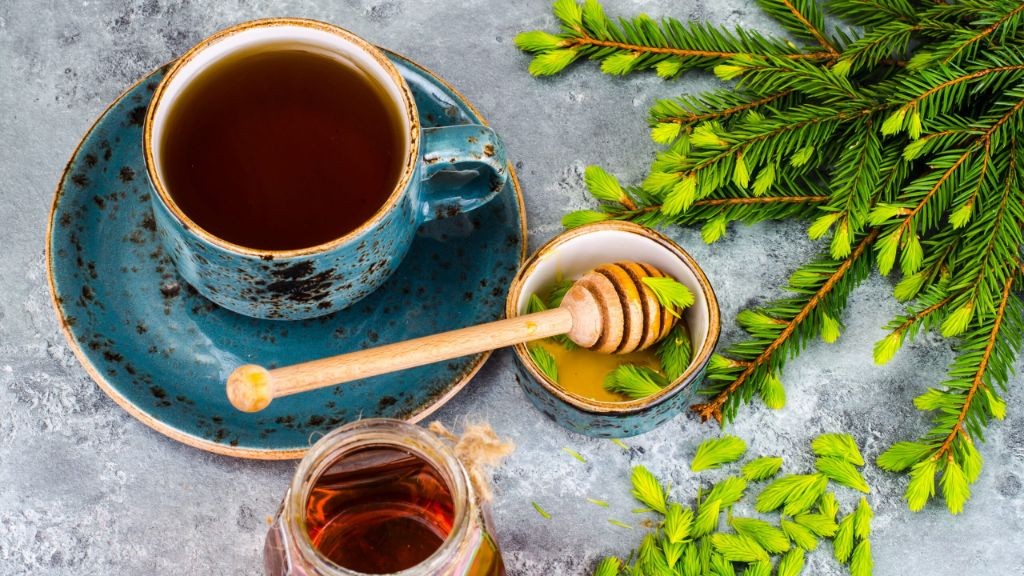 Spruce Tip Tea with Mint