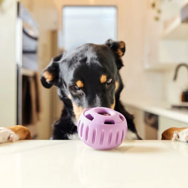 Sweet Potato Woof Pupsicles