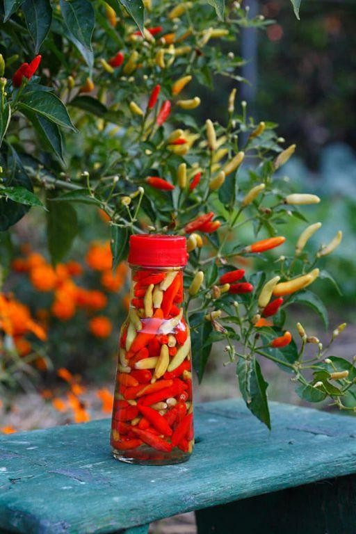 Tabasco Pepper Pickled Vegetables