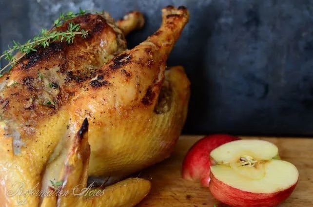 Traeger Whole Chicken Stuffed with Apples and Onions