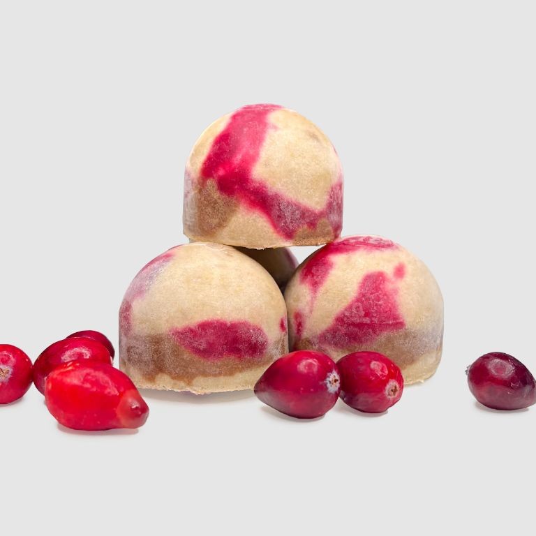 Turkey and Cranberry Woof Pupsicles