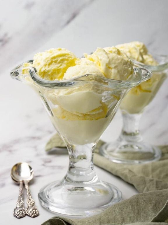 Vanilla condensed milk ice cream