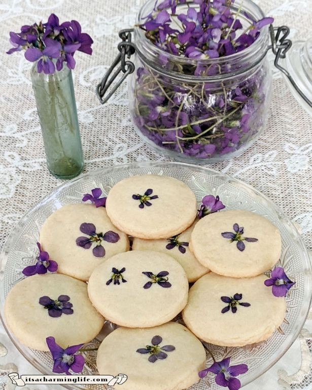 Violet Sugar Cookies