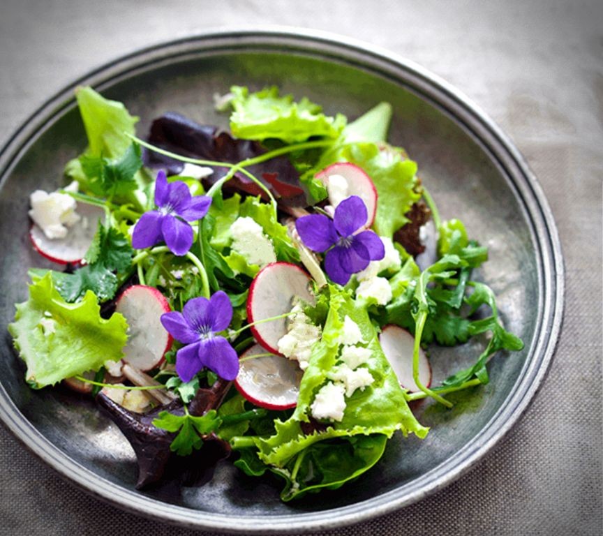 19 Elegant Violet Recipes with Creative Twists
