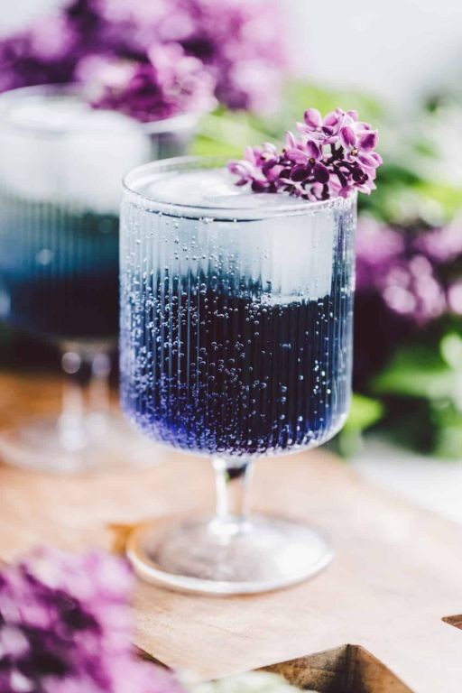 Violet syrup and elderflower champagne cocktail