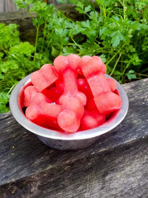 Watermelon Mint Woof Pupsicles