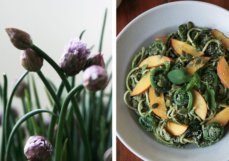Zucchini and Pumpkin Seed Pesto