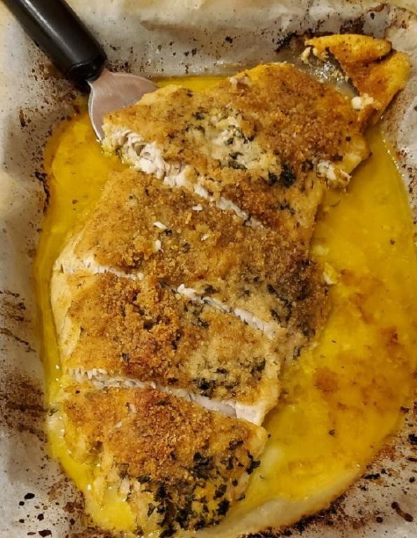 Baked Snook with Parmesan Crust